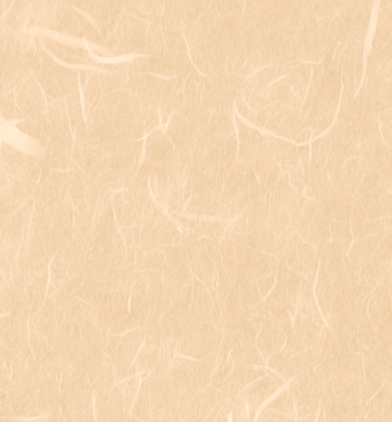 Set da 3 fogli "Carta di Riso per decoupage" cm 64x94 gr. 16, ROSA ANTICO